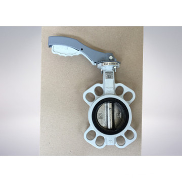 Butterfly Valve for Paper and Pulp Industrial